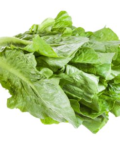 Laitue romaine, 1 unité