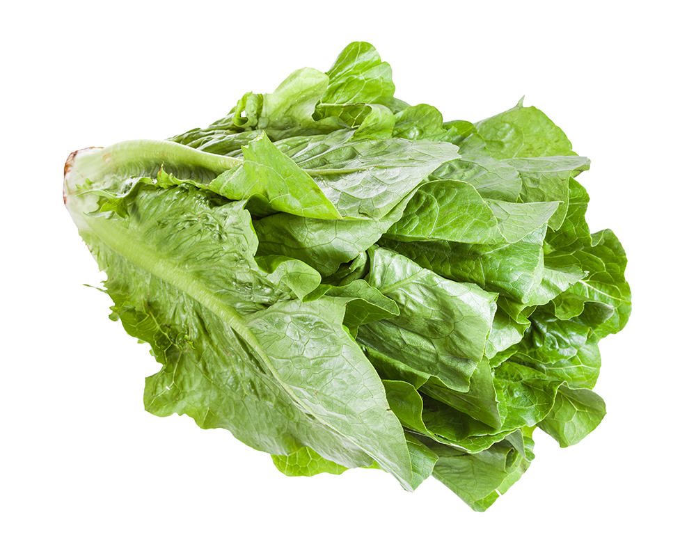 Laitue romaine, 1 unité
