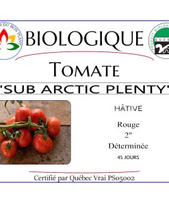 Plant de tomate Sub Artic Plenty